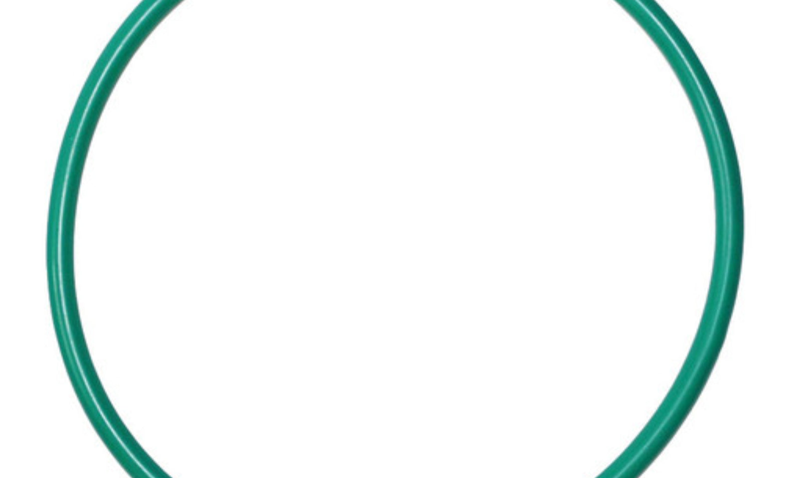 Quantum Fuel Pump Seal Gasket