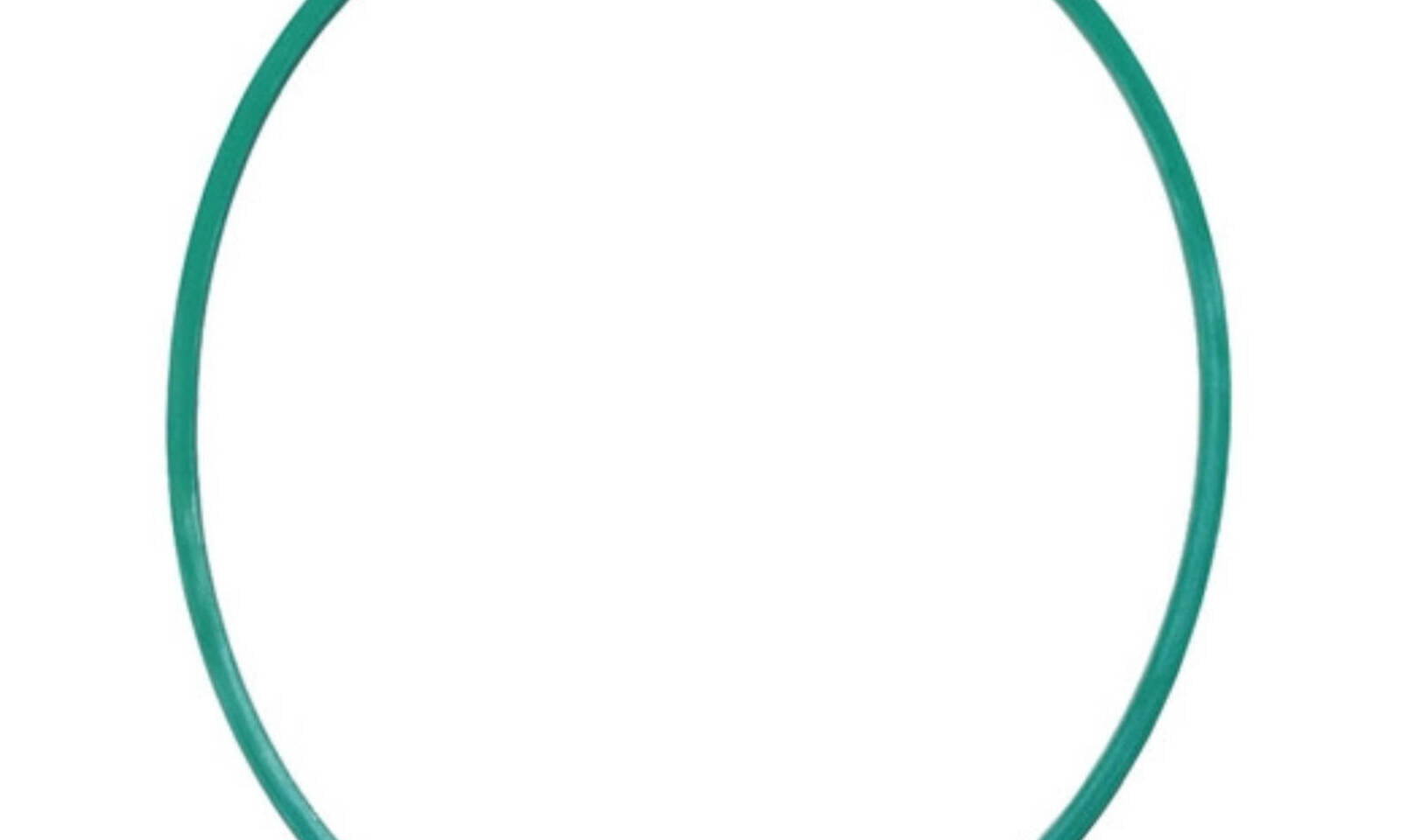 Quantum Fuel Pump Seal Gasket
