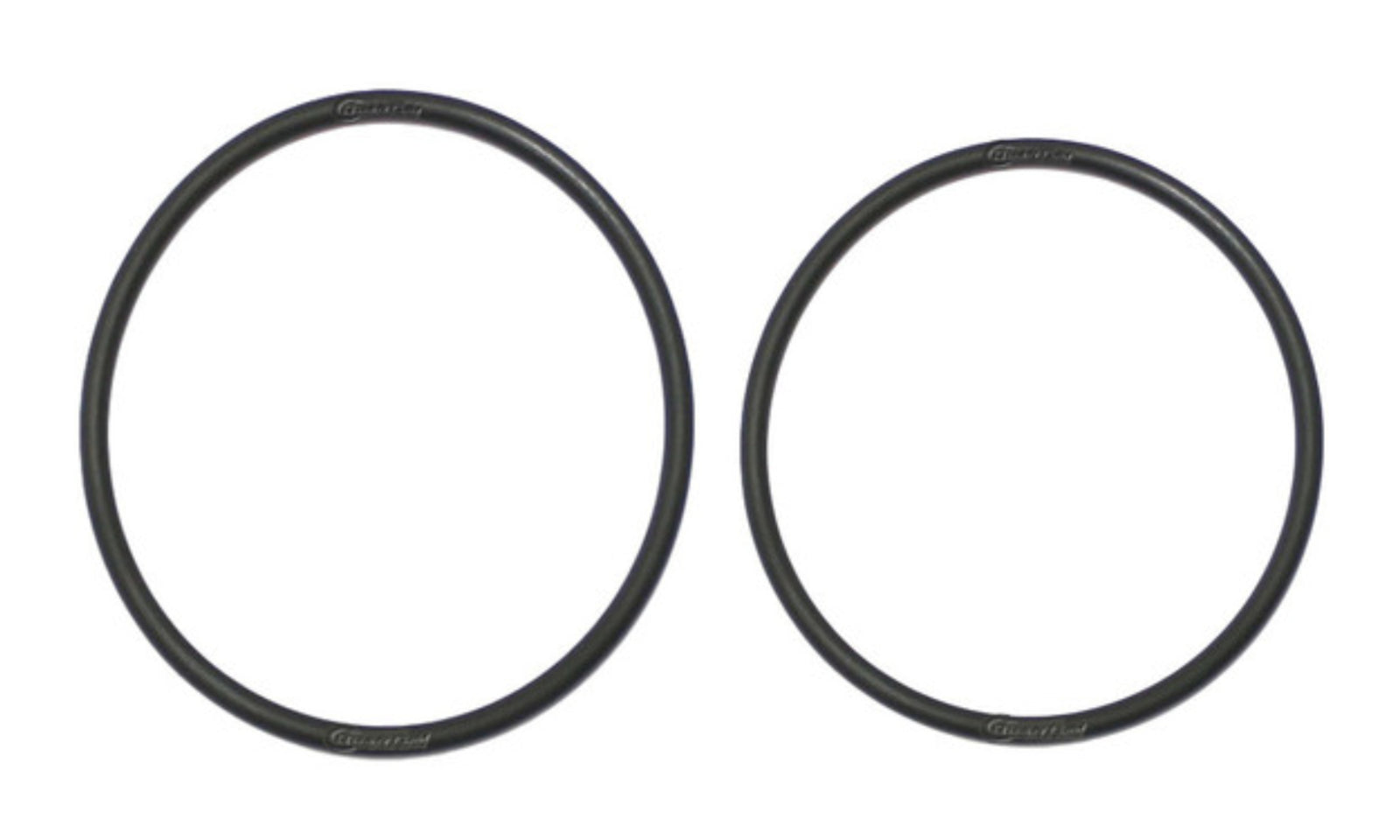 Quantum Fuel Pump Seal Gasket