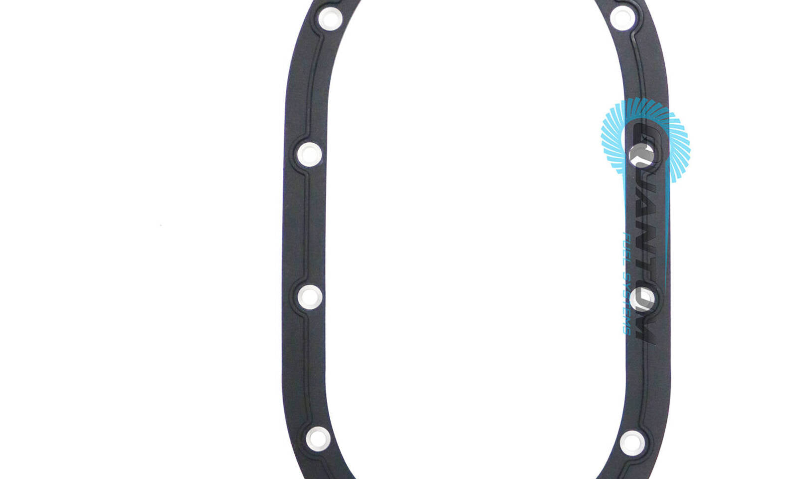 Quantum Fuel Pump Seal Gasket