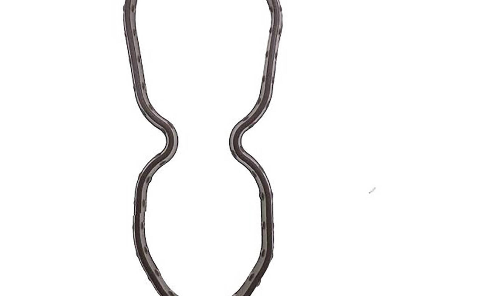 Quantum Fuel Pump Seal Gasket