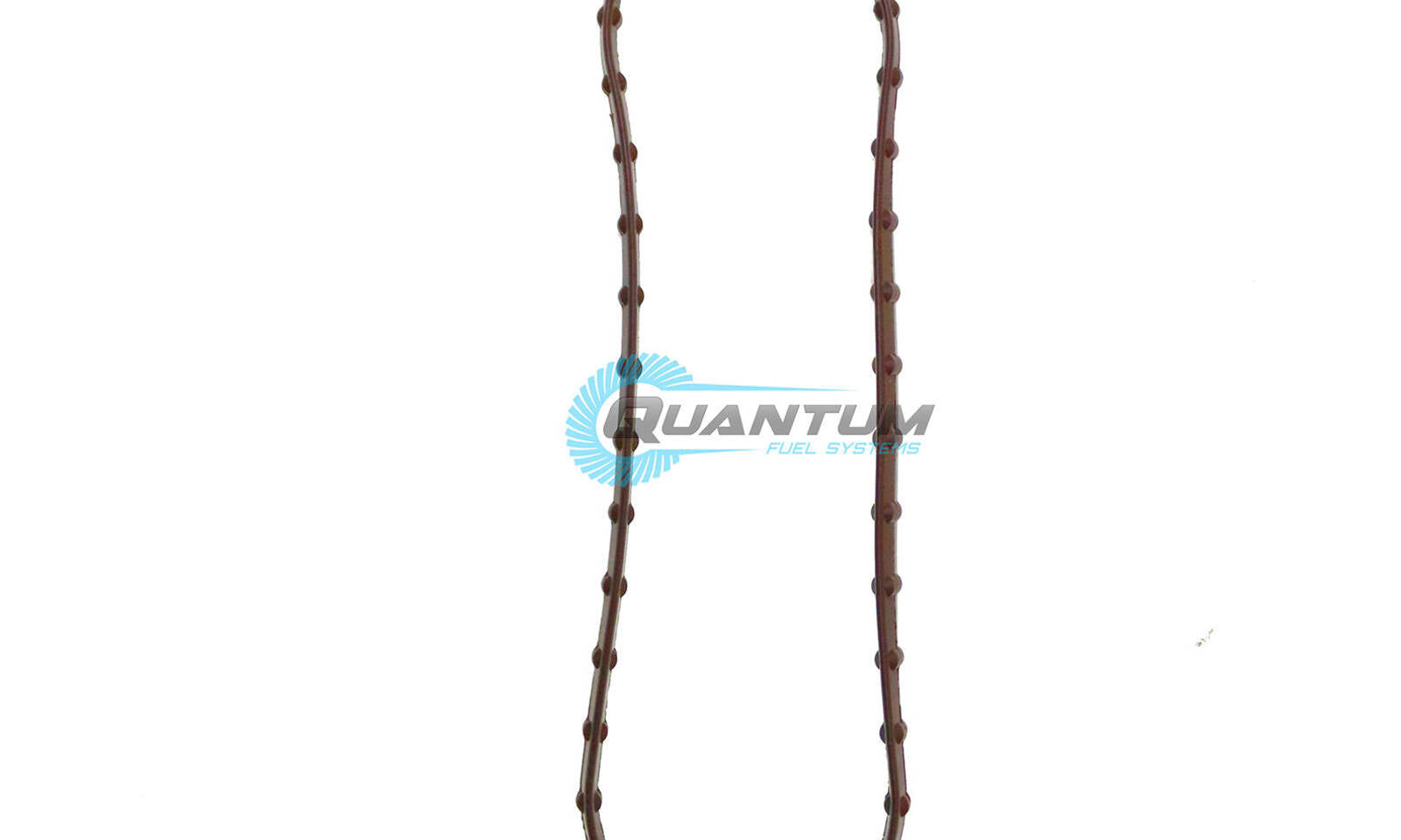 Quantum Fuel Pump Tank Seal Gasket