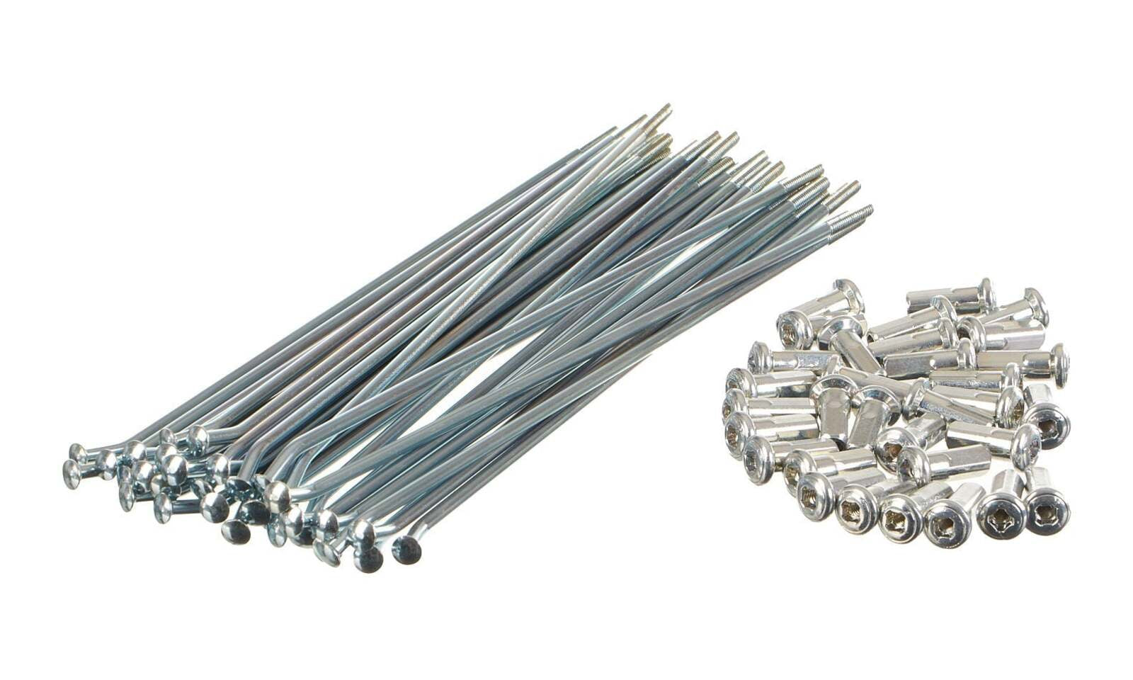 RIMNS852197.JPG