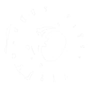 Stator Yamaha XVS650 V-Star Custom '04-'16 (RMS010-103240)