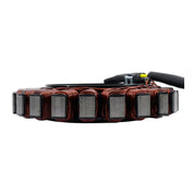 Stator BMW R1200 Models '12-'18 (RMS010-105024)