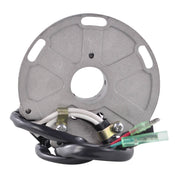 Stator Suzuki RM125 '86-'88 / RM250 '86-'95 (RM01452)