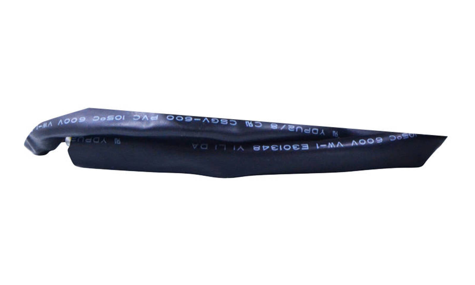 RMS01521.JPG