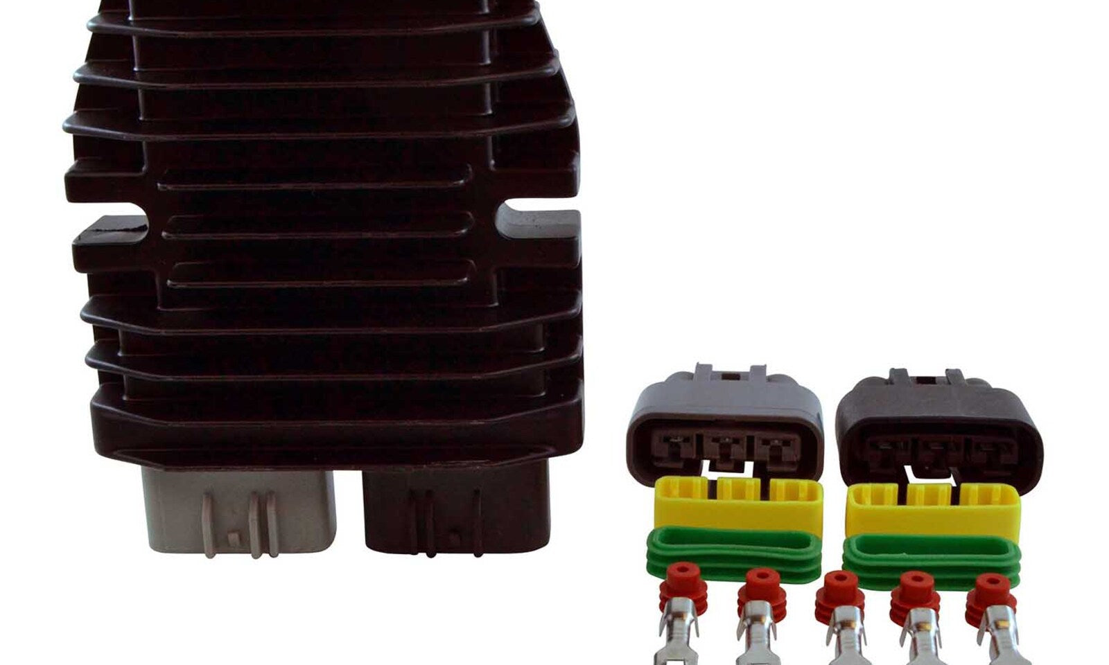 RMS023106203.JPG