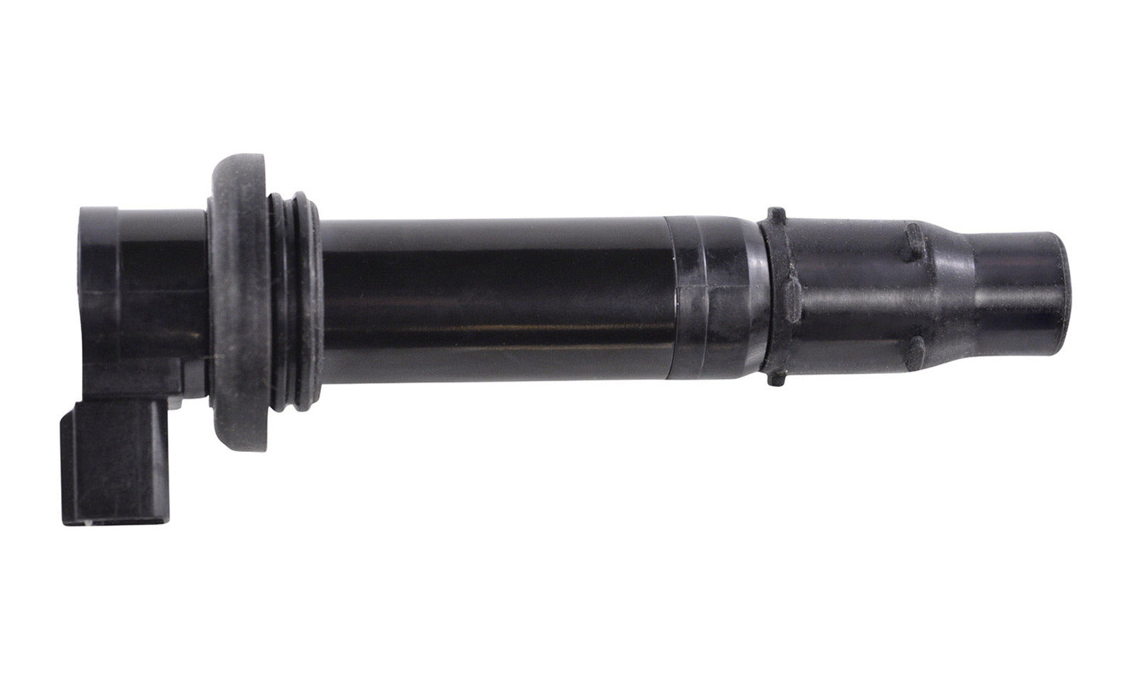 RMS06198.JPG