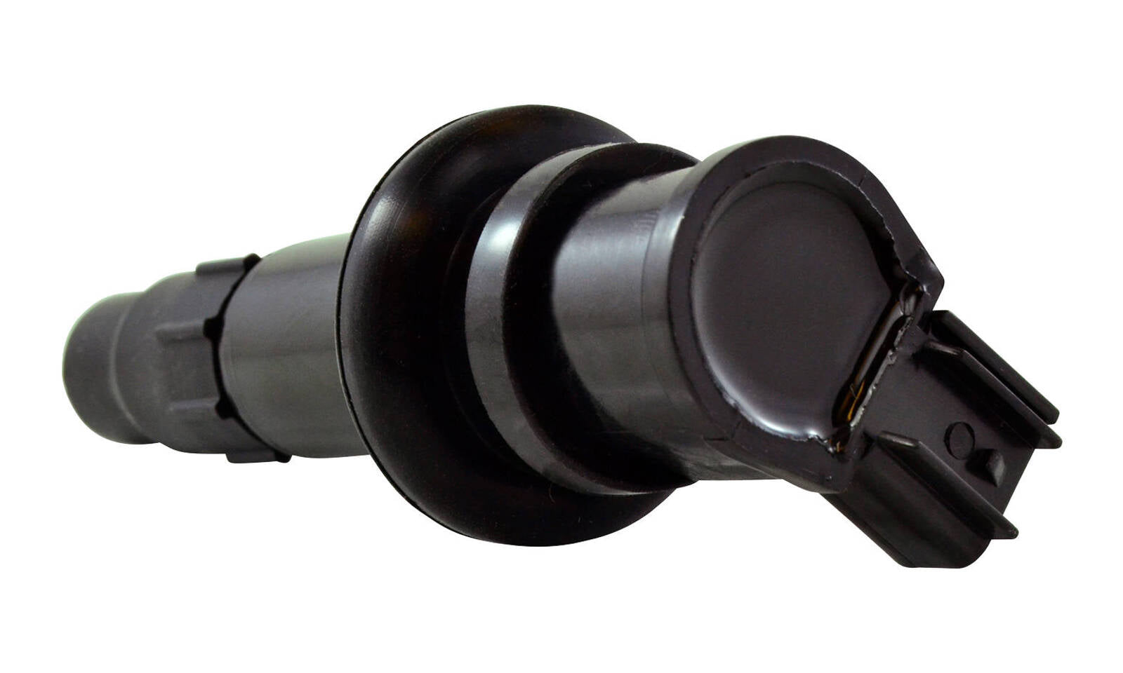 RMS260104931.JPG