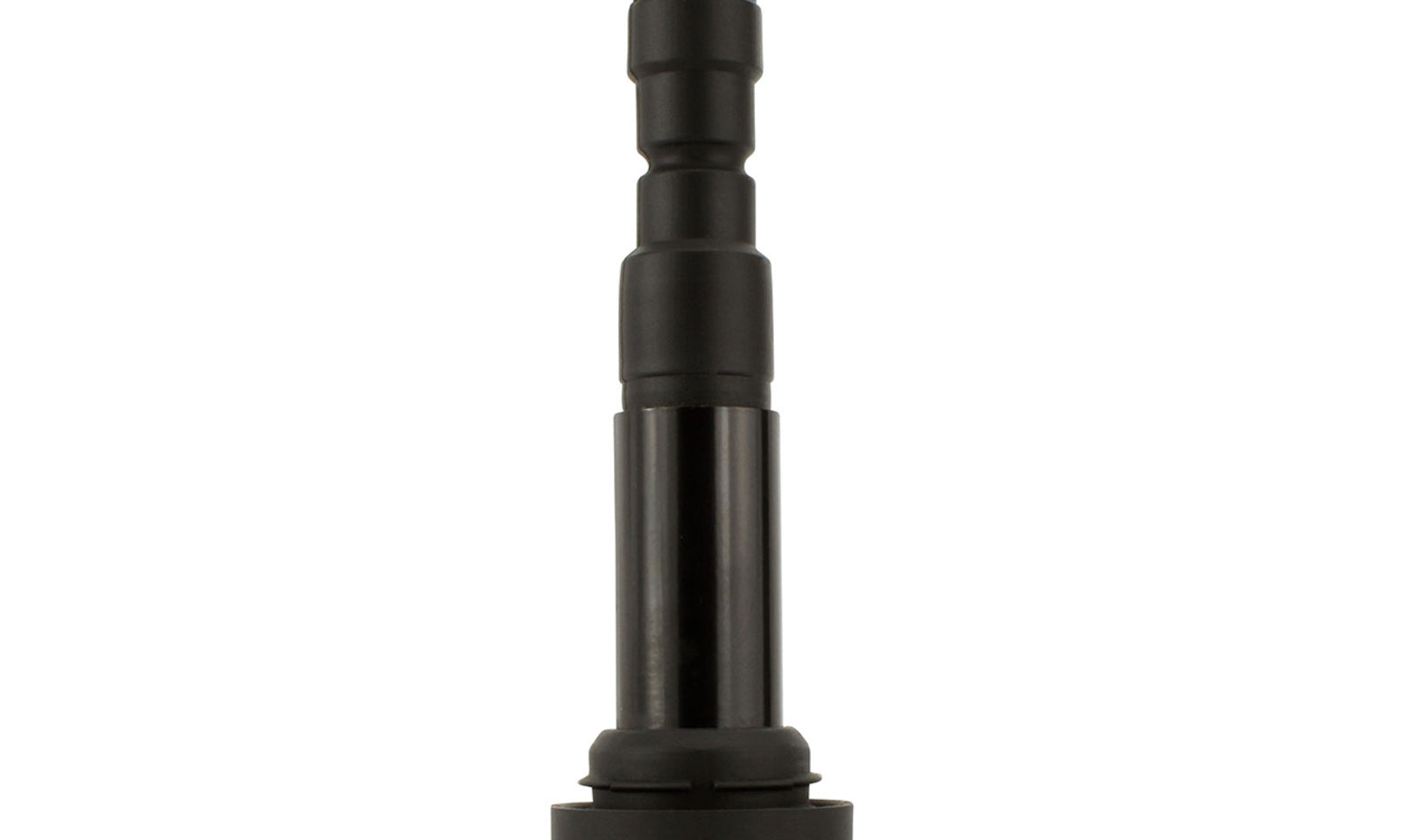 RMS260106964.JPG