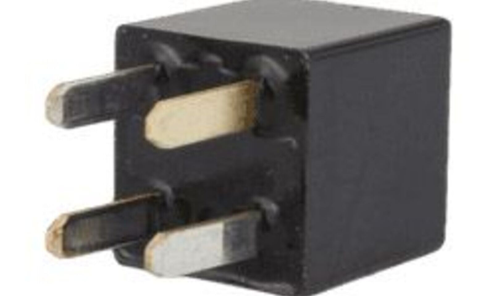 RMS270107878.JPG