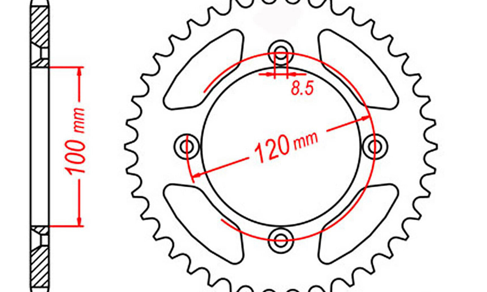 SPR79851.JPG