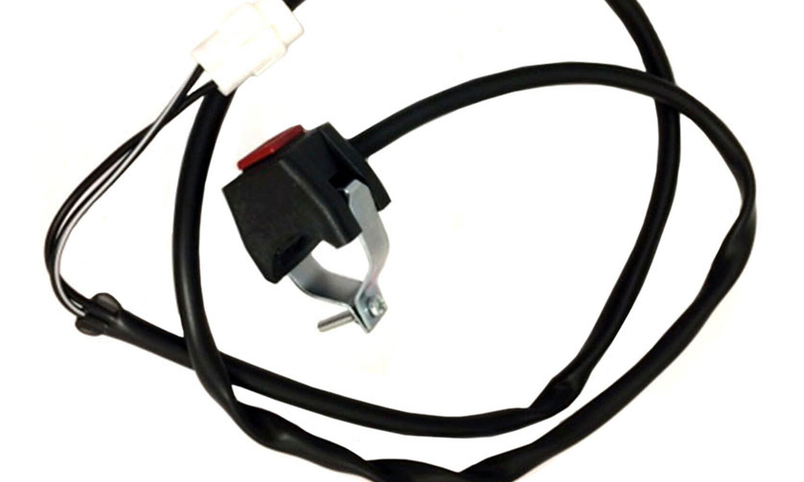 SW1091.JPG