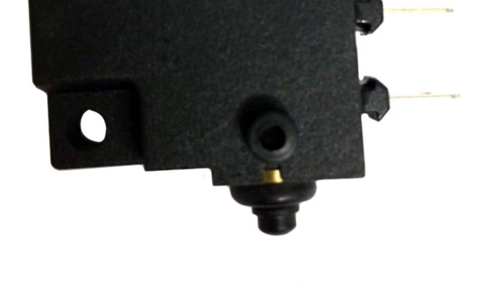 SW6065.JPG