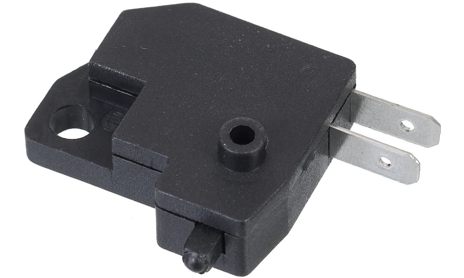 SW6068.JPG