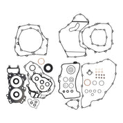 Complete Gasket Set with Oil Seals 8110032