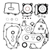 Complete Gasket Set with Oil Seals 8110050