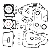 Complete Gasket Set with Oil Seals 8110050