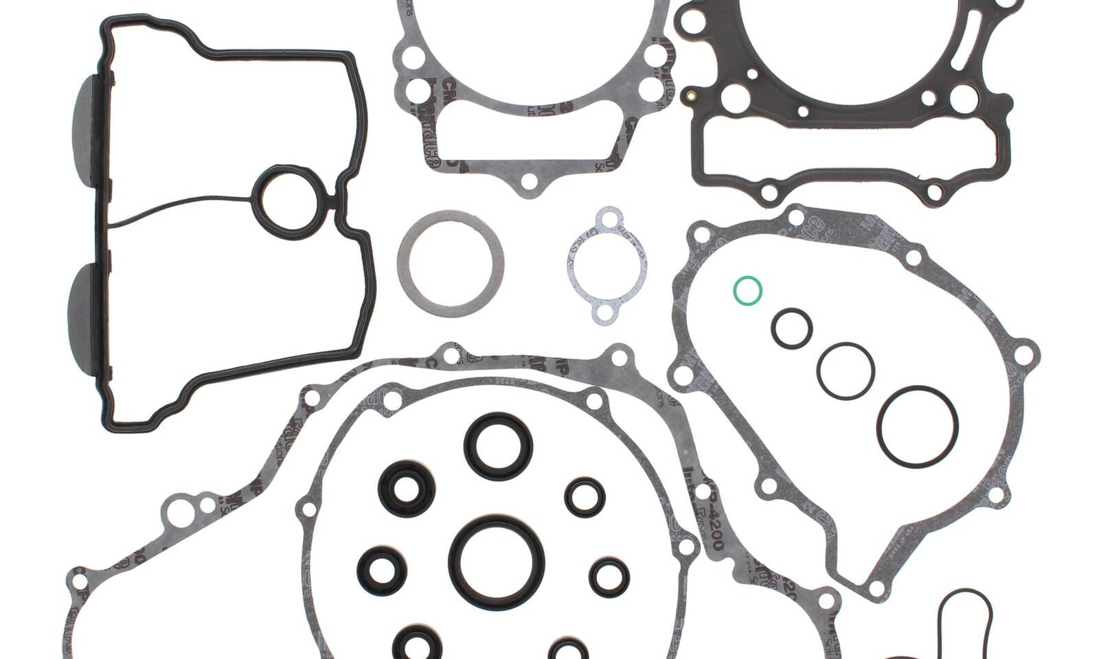 VER811676.JPG