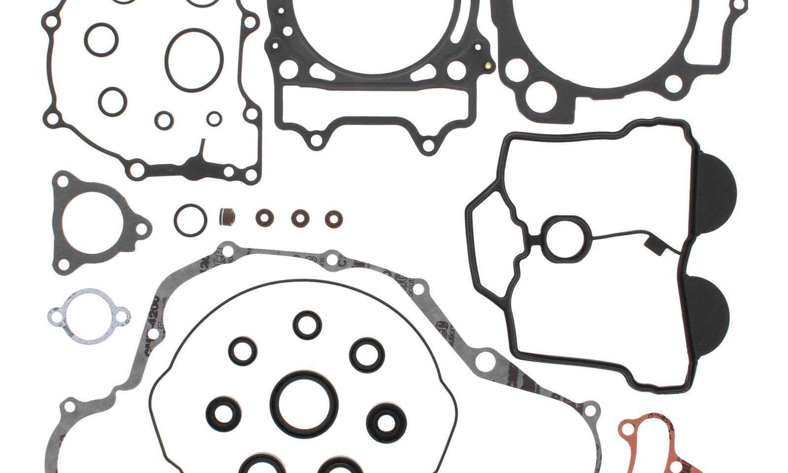 VER811689.JPG
