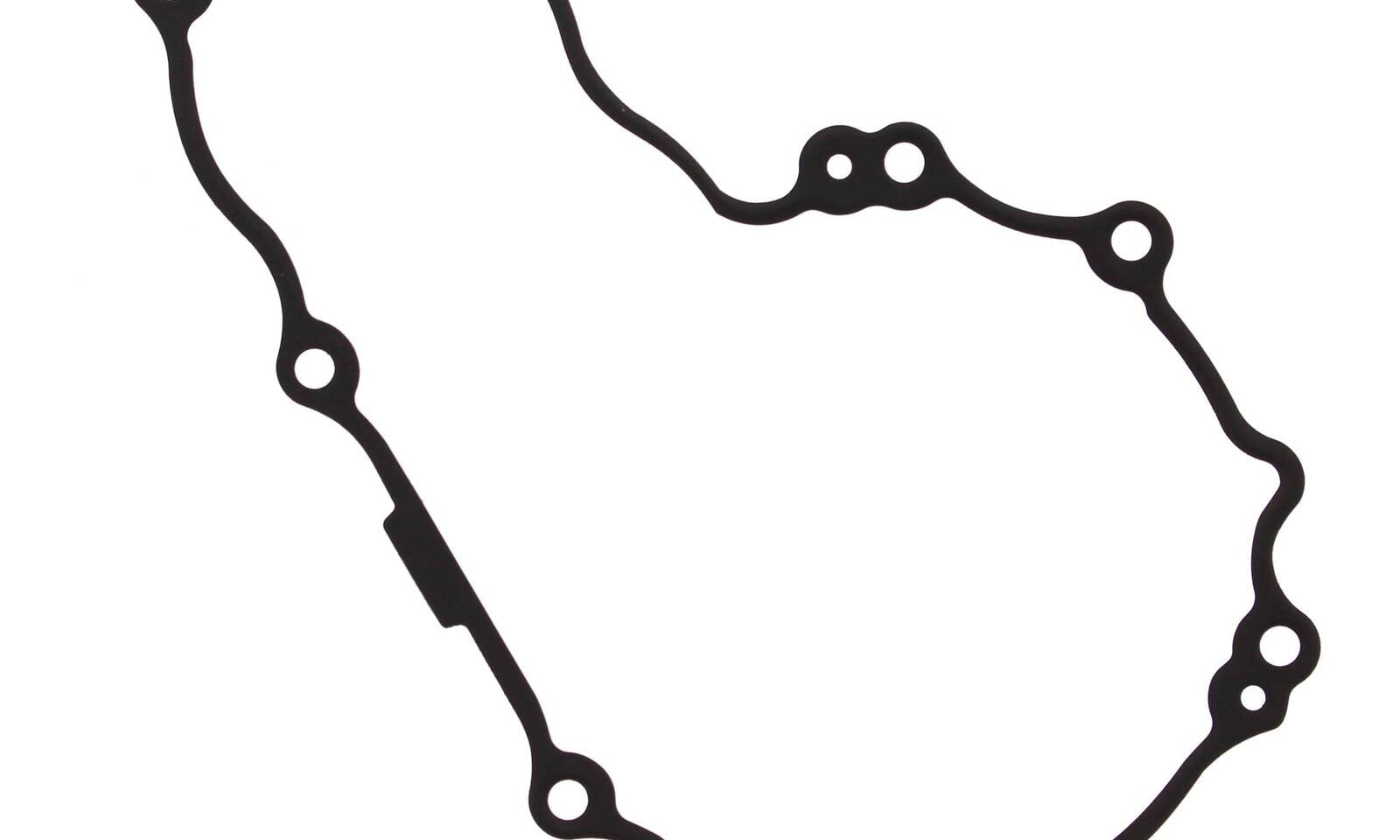 Ignition Cover Gasket Kit 816295