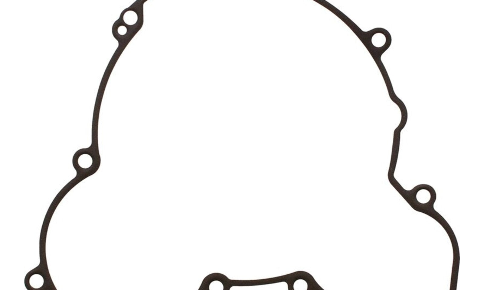 Ignition Cover Gasket Kit 816386