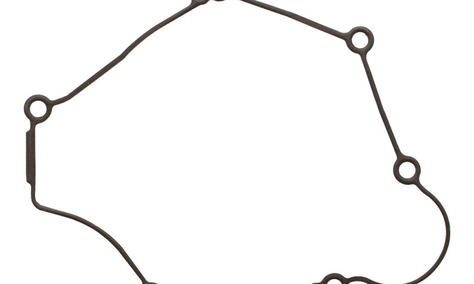 Ignition Cover Gasket Kit 816387