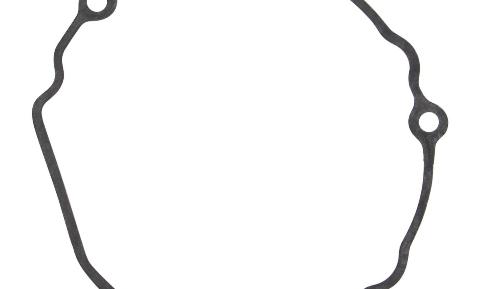Ignition Cover Gasket Kit 816510