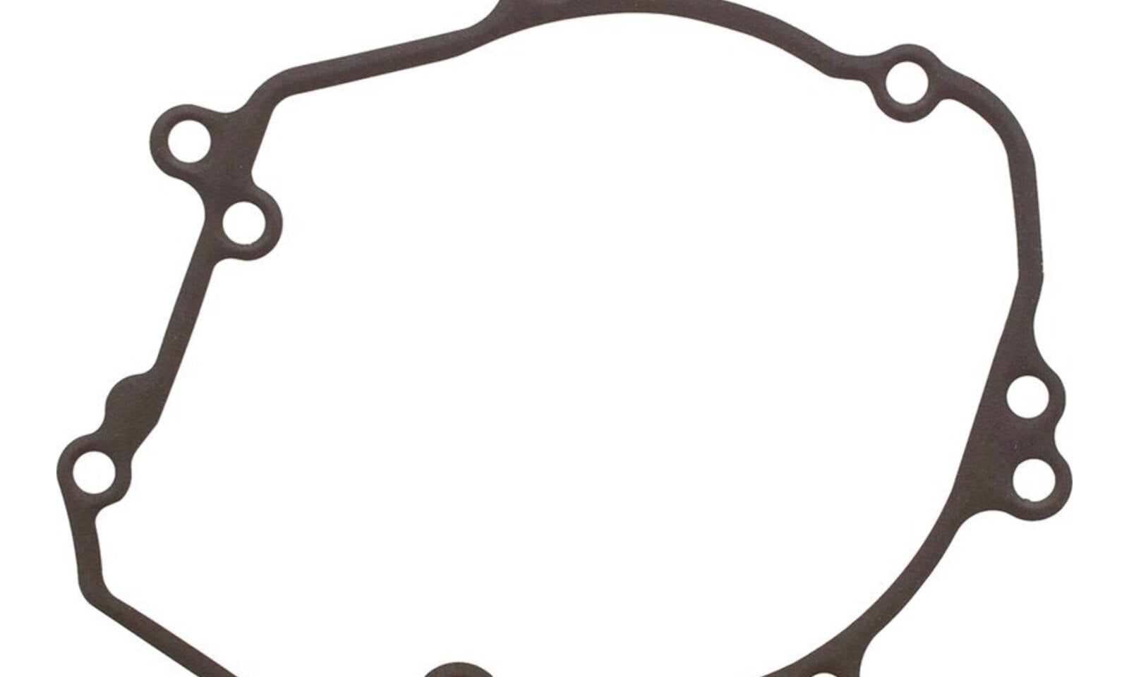 Ignition Cover Gasket Kit 816830