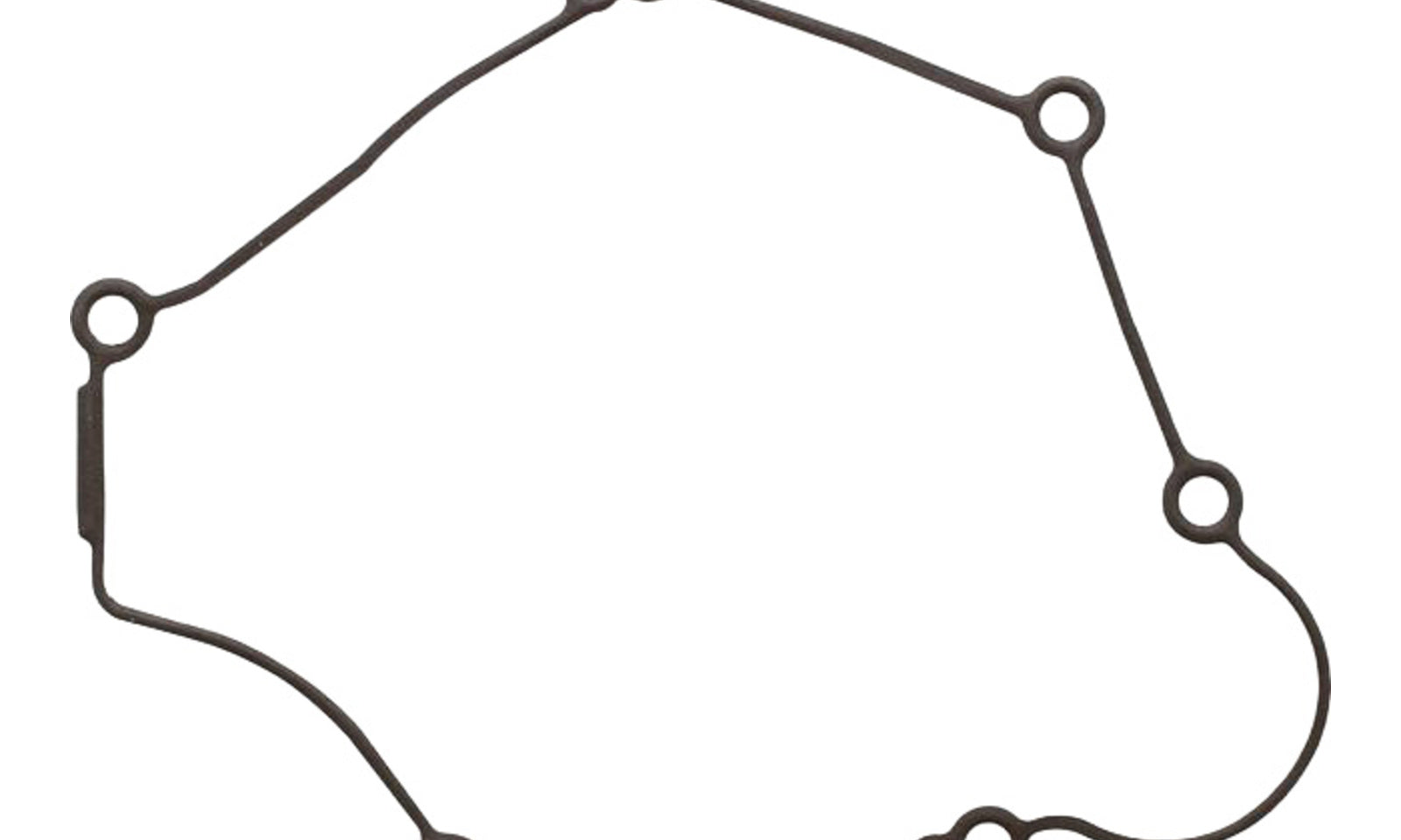 Ignition Cover Gasket Kit 816845