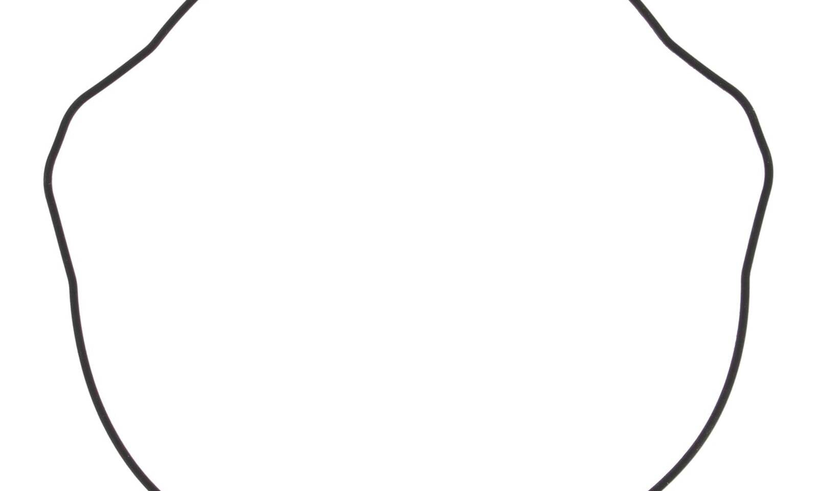 Outer Clutch Gasket Kit 817200