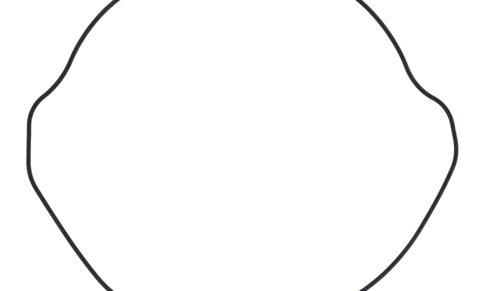 Outer Clutch Gasket Kit 817252