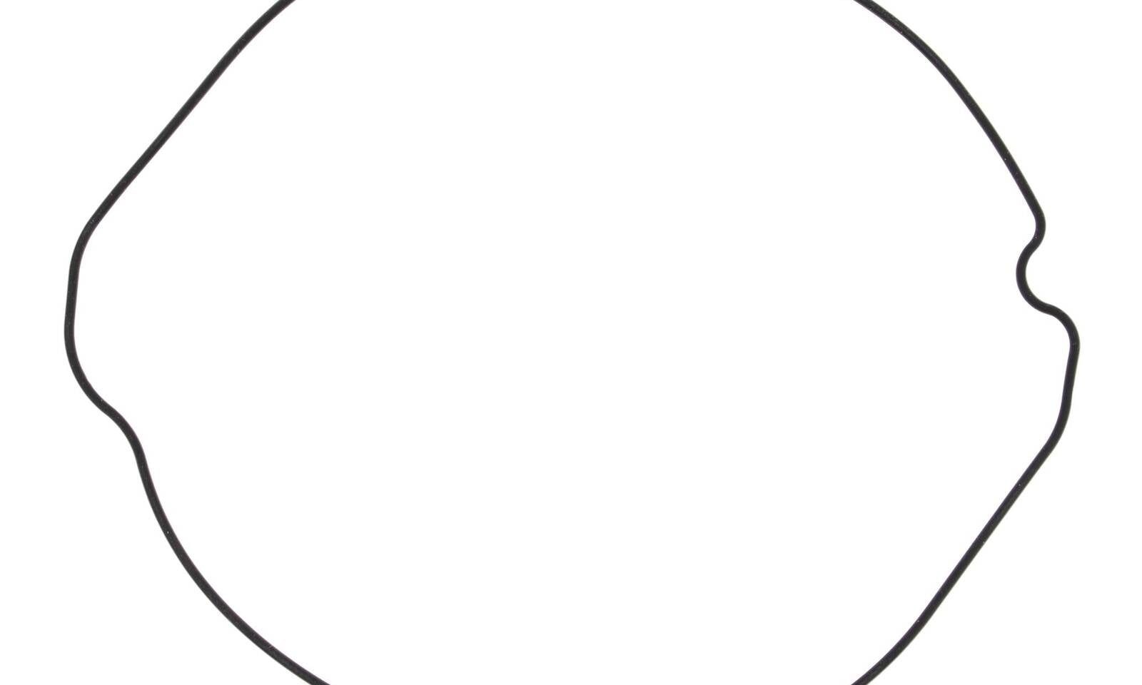Outer Clutch Gasket Kit 817253