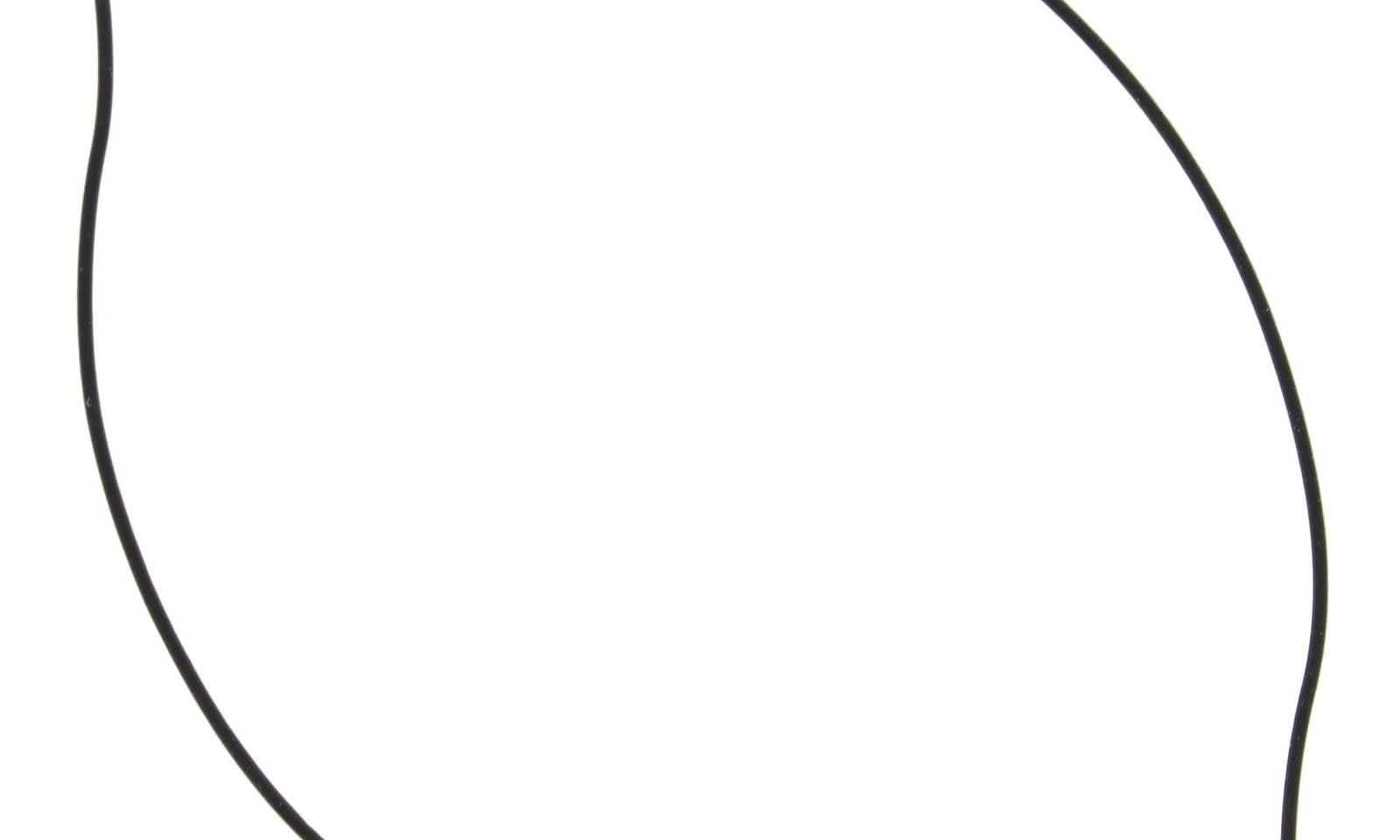 VER817507.JPG
