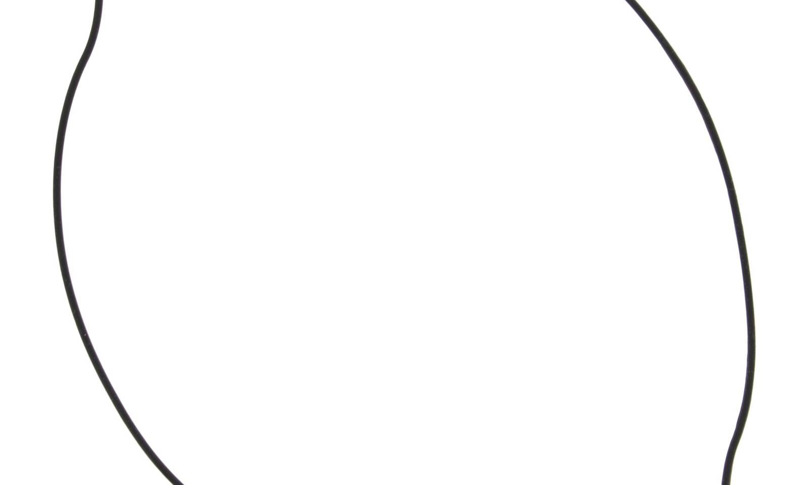 VER817521.JPG
