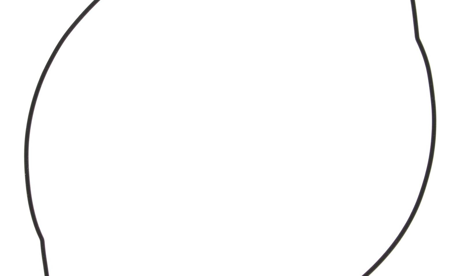 VER817685.JPG