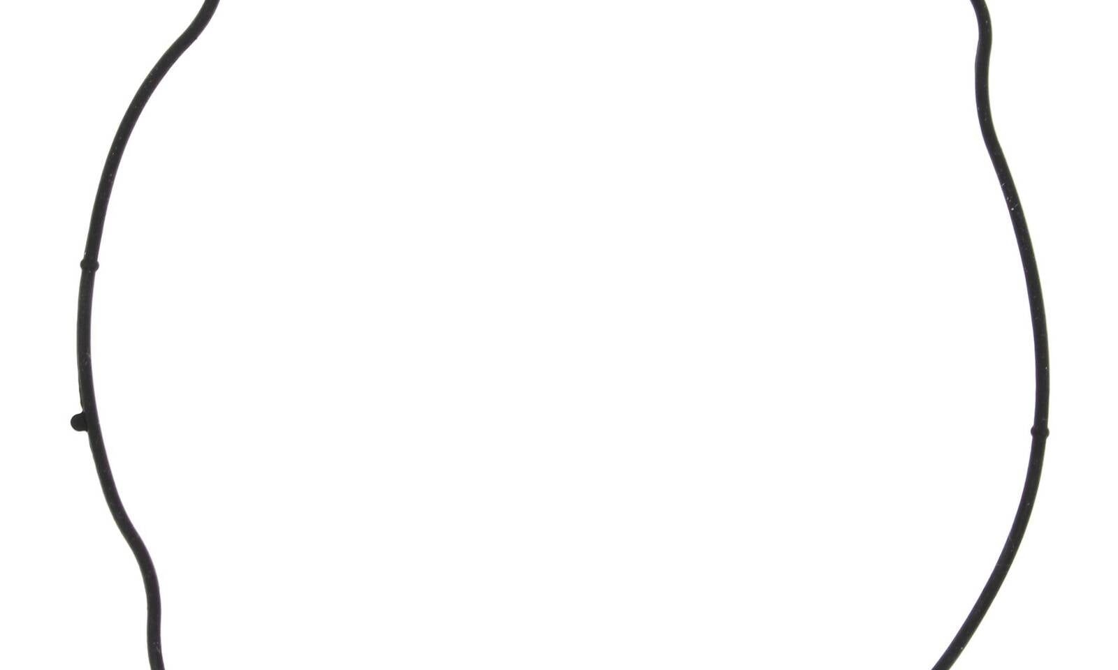Outer Clutch Gasket Kit 817731