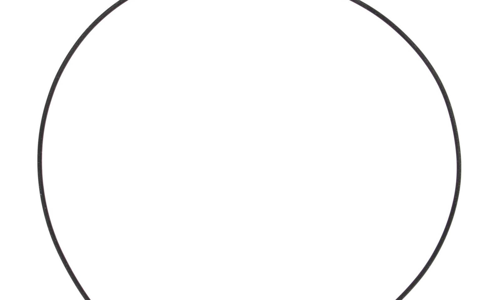 VER817785.JPG