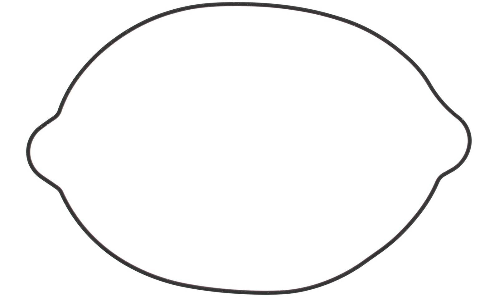 Outer Clutch Gasket Kit 817826