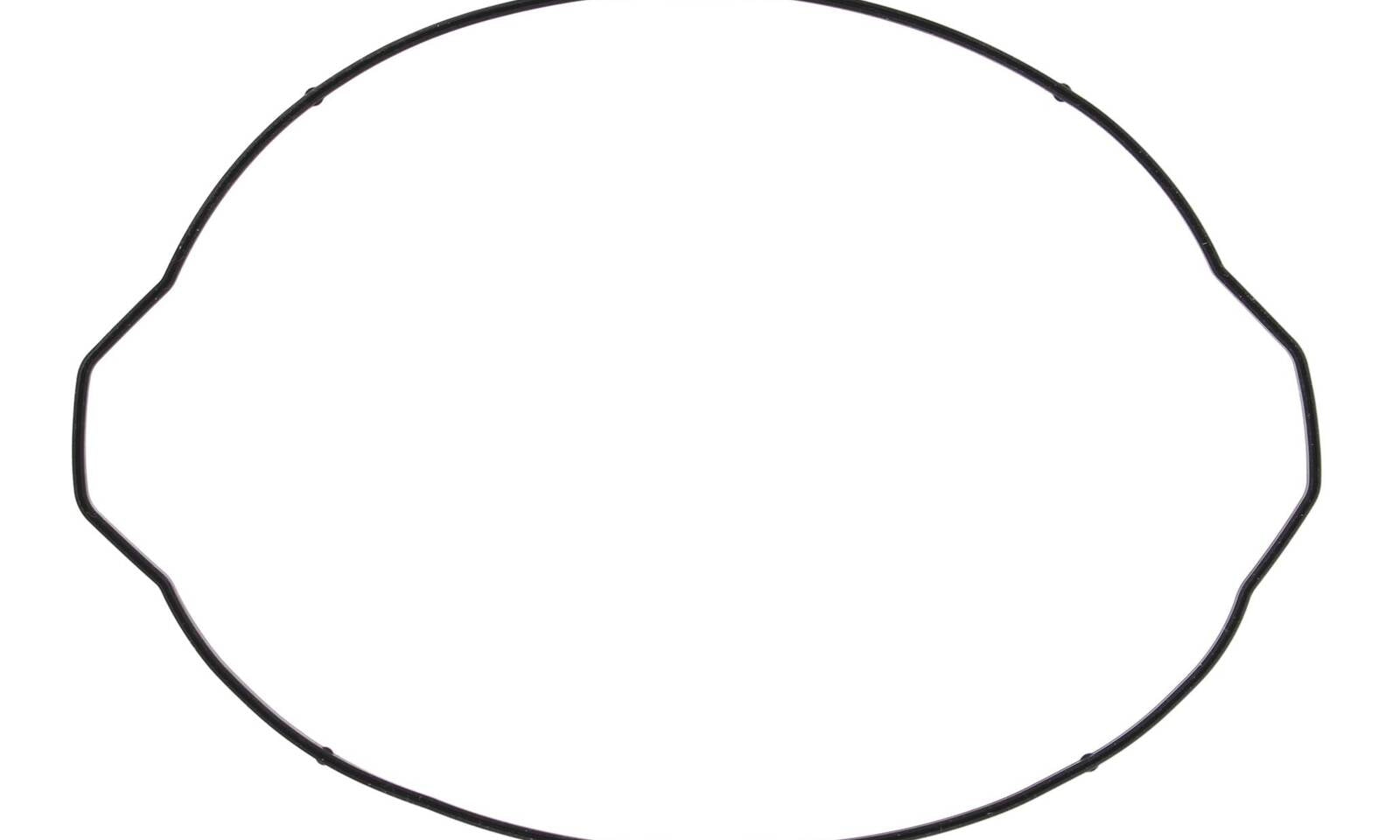 Outer Clutch Gasket Kit 817841