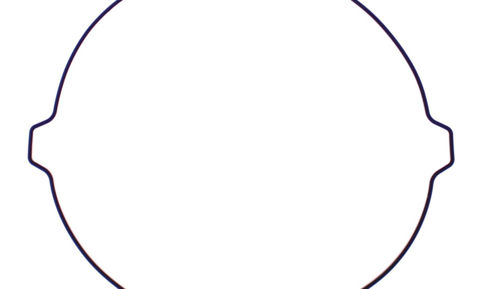 Outer Clutch Gasket Kit 817885