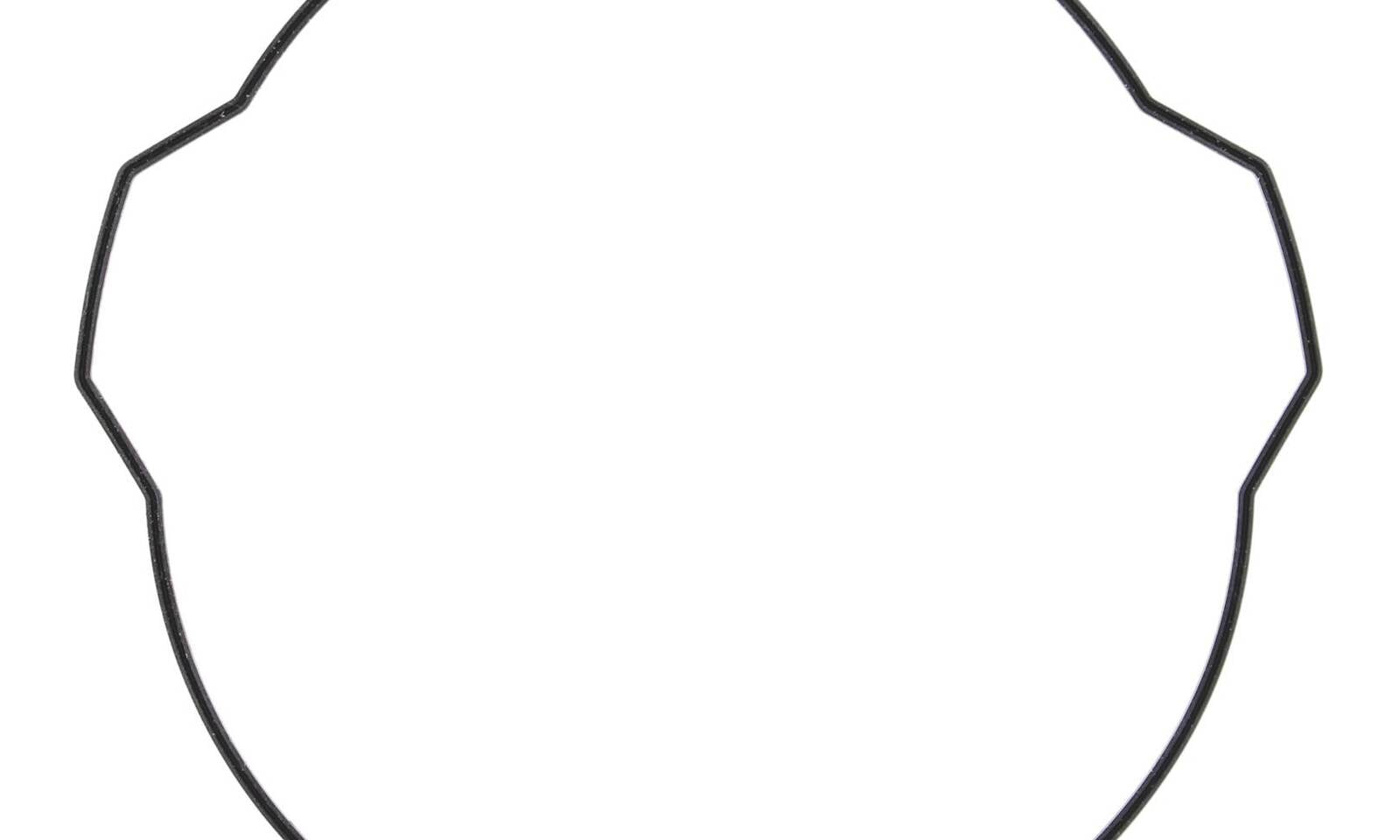 VER817928.JPG
