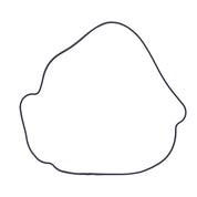 Outer Clutch Gasket Kit 817987