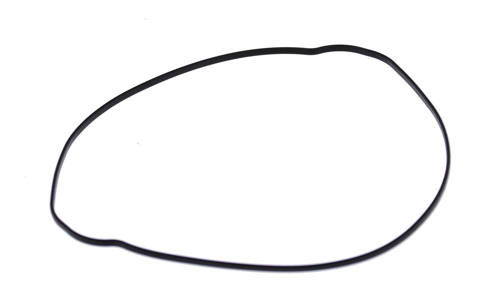 VER819047.JPG