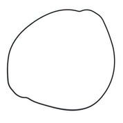 Outer Clutch Gasket Kit 819047