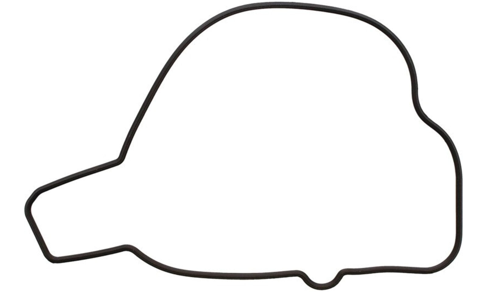 Ignition Cover Gasket Kit 819210