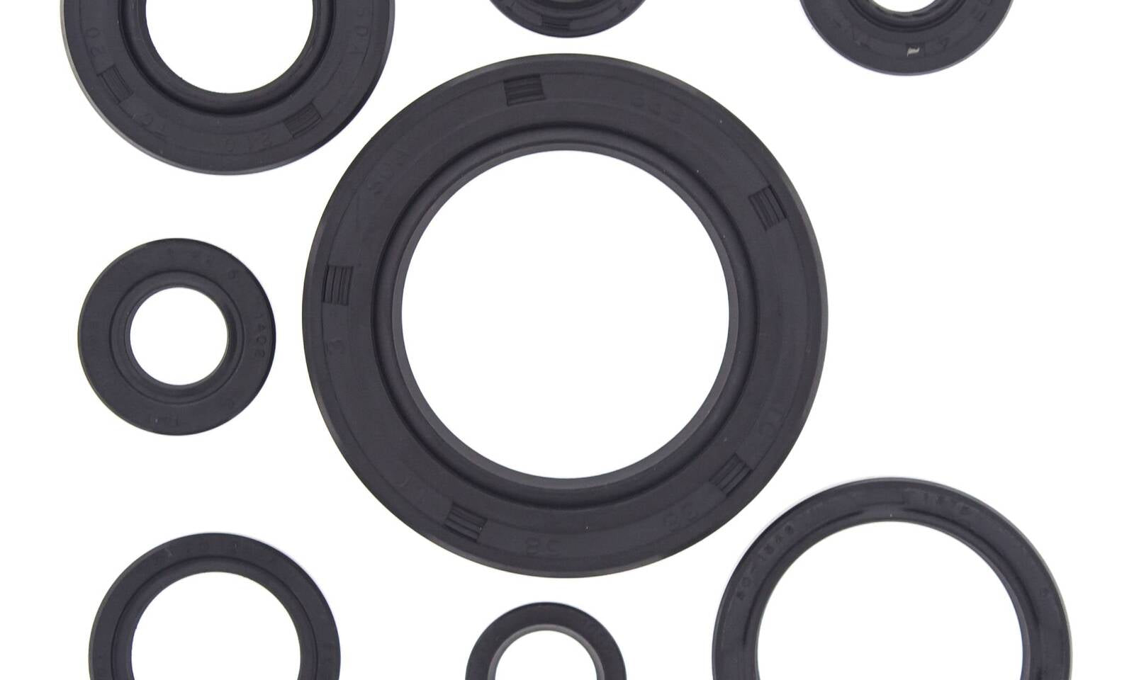 Oil Seal Kit 822111