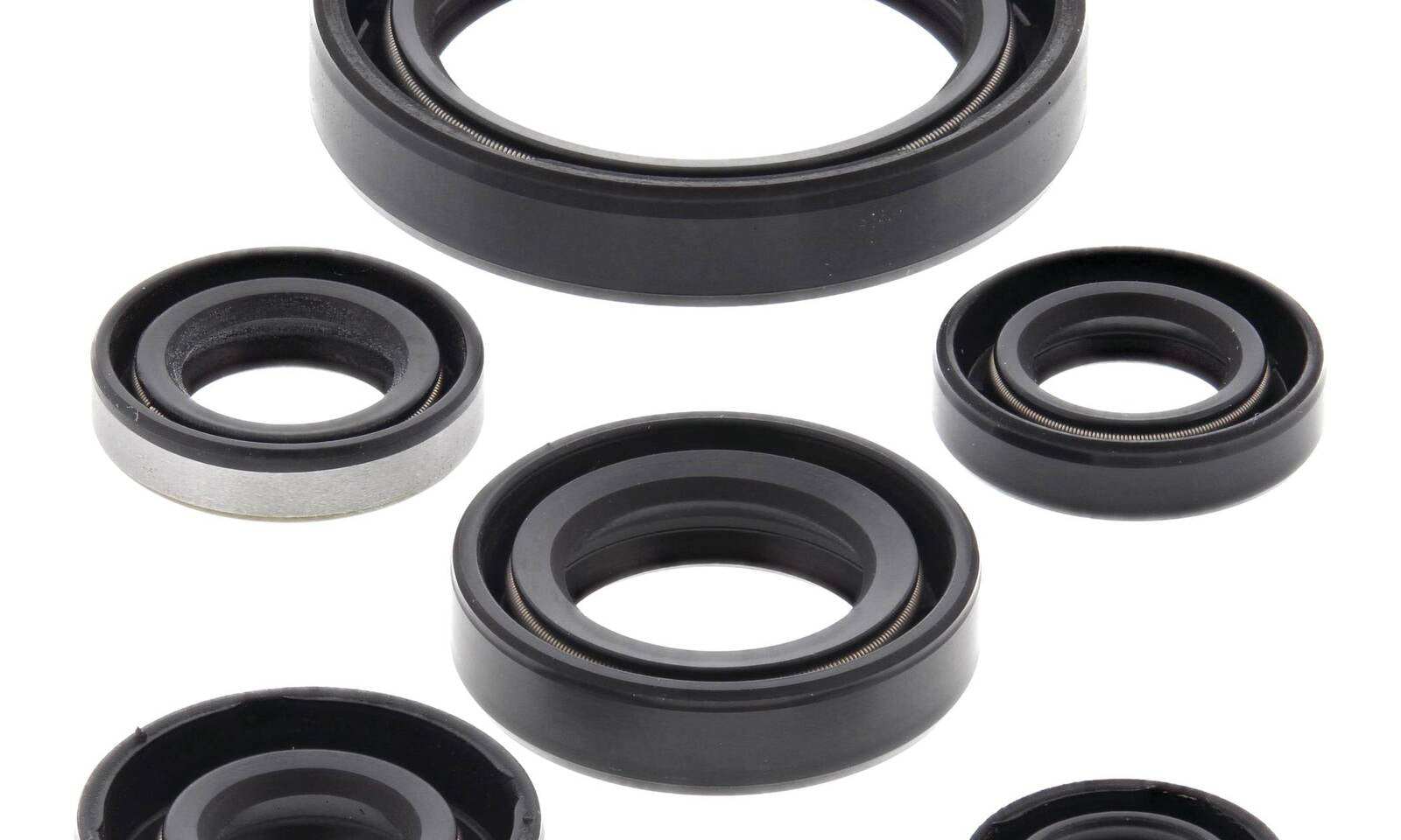 Oil Seal Kit 822137