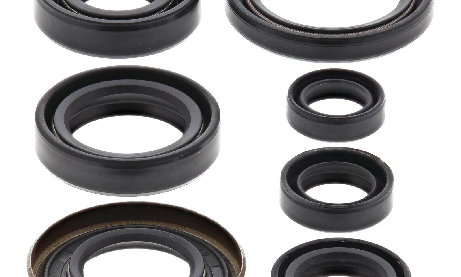 Oil Seal Kit 822161
